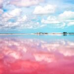 Así es la nueva y atrevida clase Business de Hawaiian Airlines » 2023