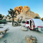 Los 5 Mejores Lugares para Bucear con Tiburones en el 2025 »