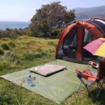 Los Autos con Mejor Visibilidad para Conducir sin Estrés »