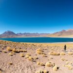 3 Maneras Deliciosas de Sorprender a Papá este Día del Padre en el Sur de Florida »