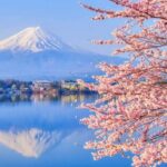 Celebra por todo lo alto el Día Nacional del Tequila este 24 de julio »