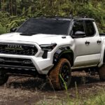 Los mejores hoteles para pasar un huracán en Florida en el 2025 »