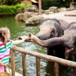 Los 5 cruceros de lujo que están rompiendo esquemas en el 2026 »