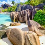 Kia América registra récord de ventas en el mes de Febrero »